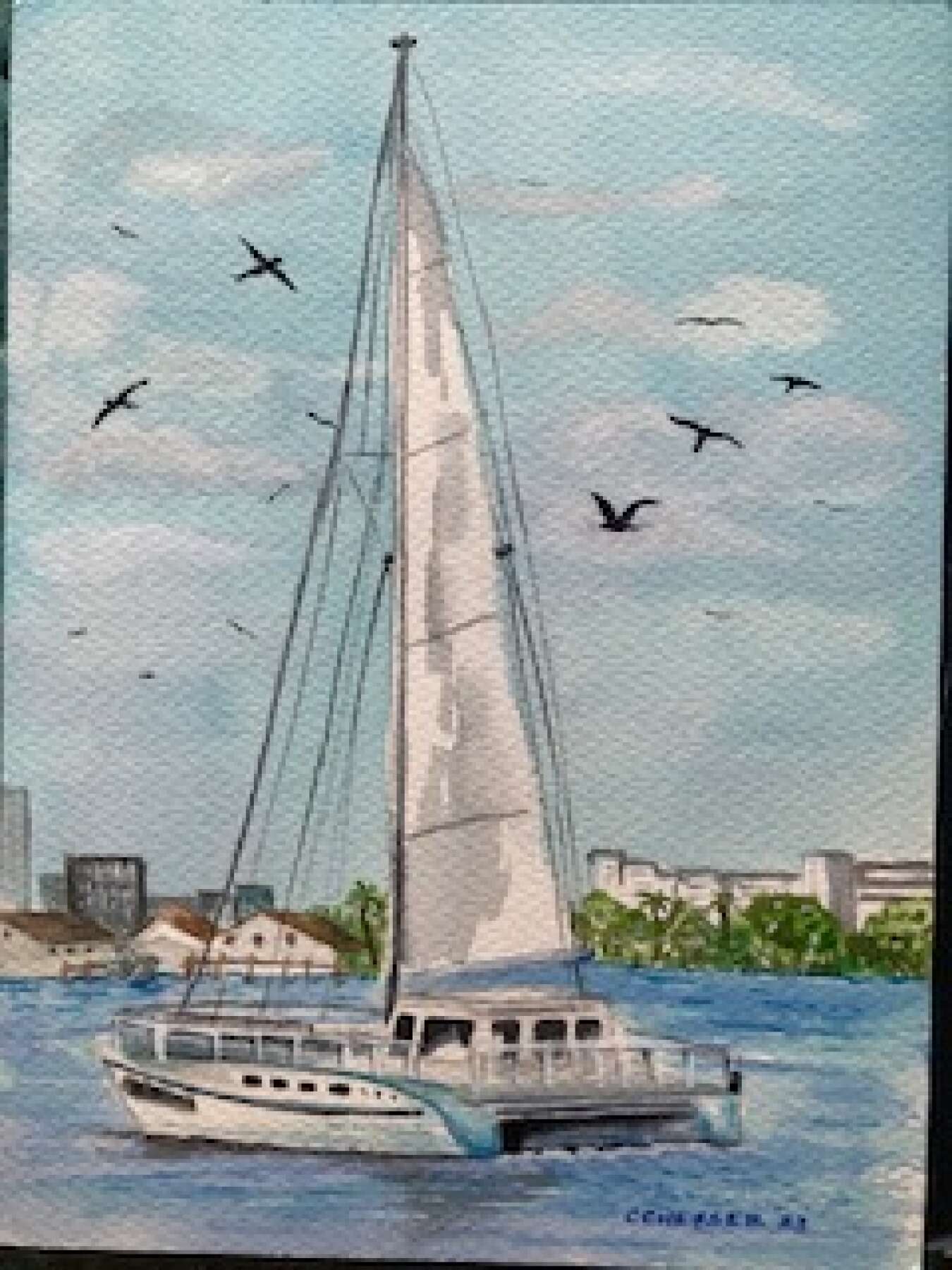 Catamaran