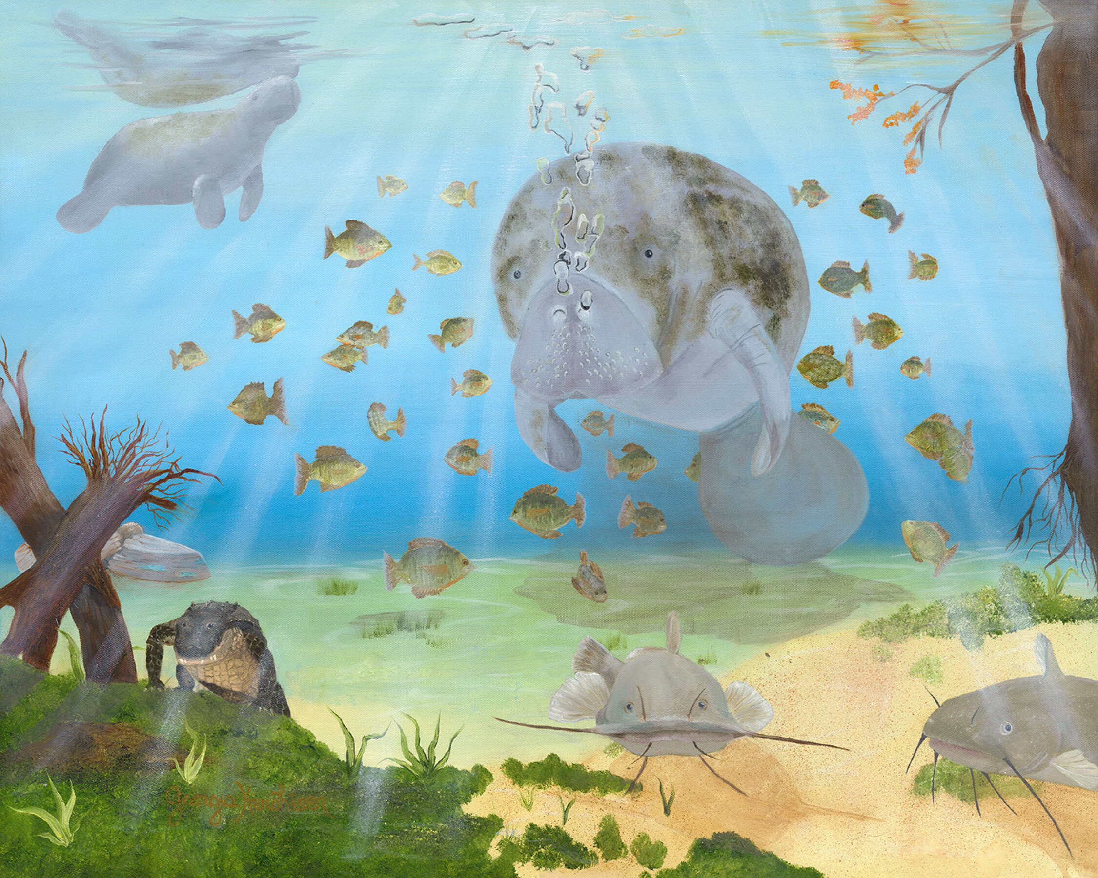 Is This Blue Springs?