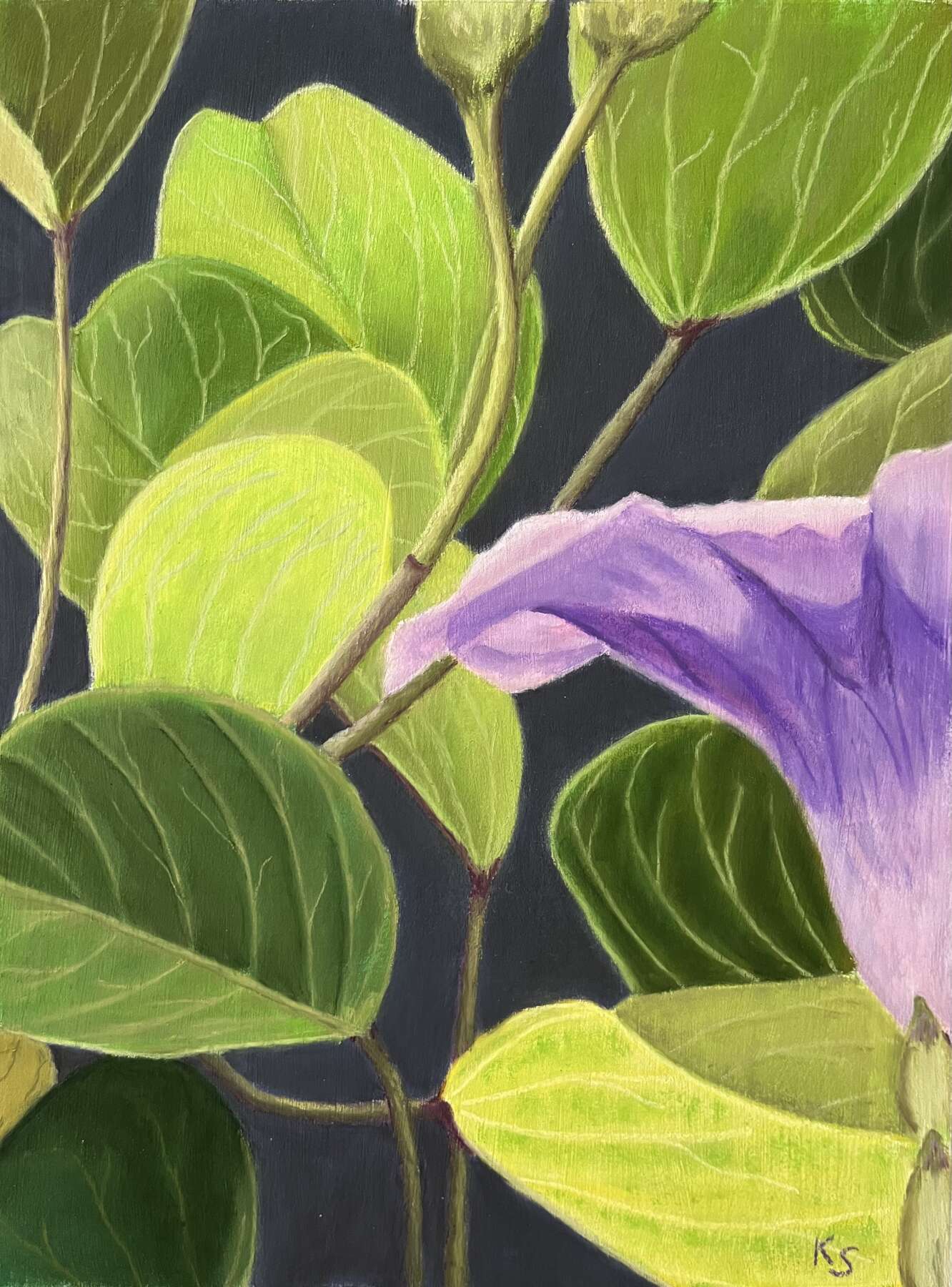Bloom in Purple