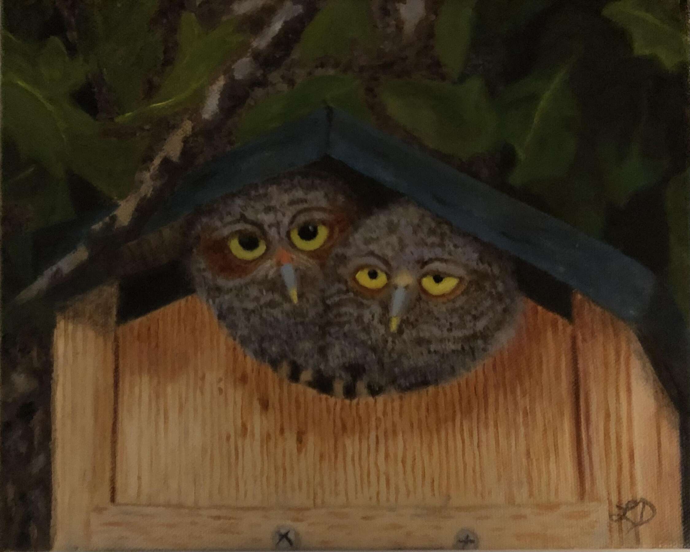 Two Hoots