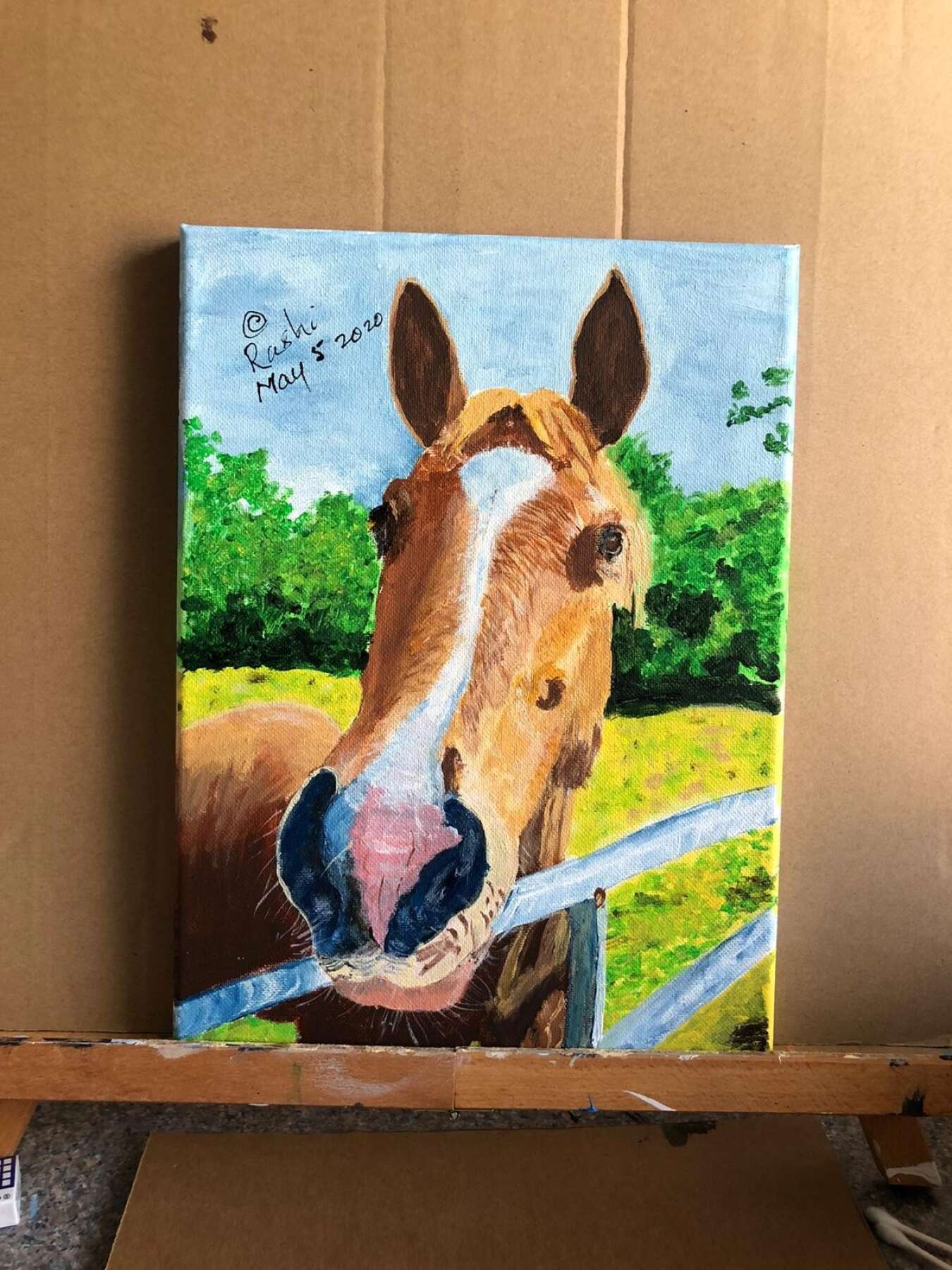Horse