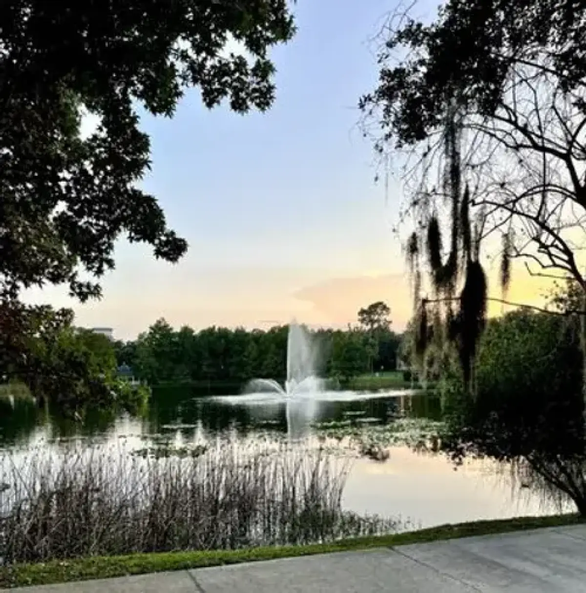 Plein Air at Lake Lily, Maitland