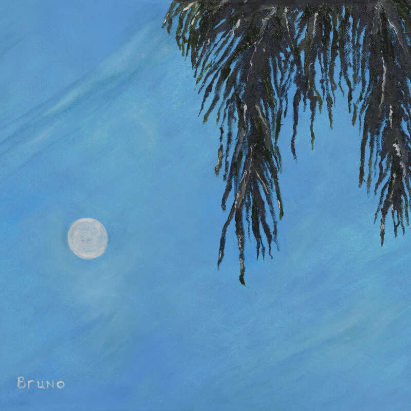 Pine Moon