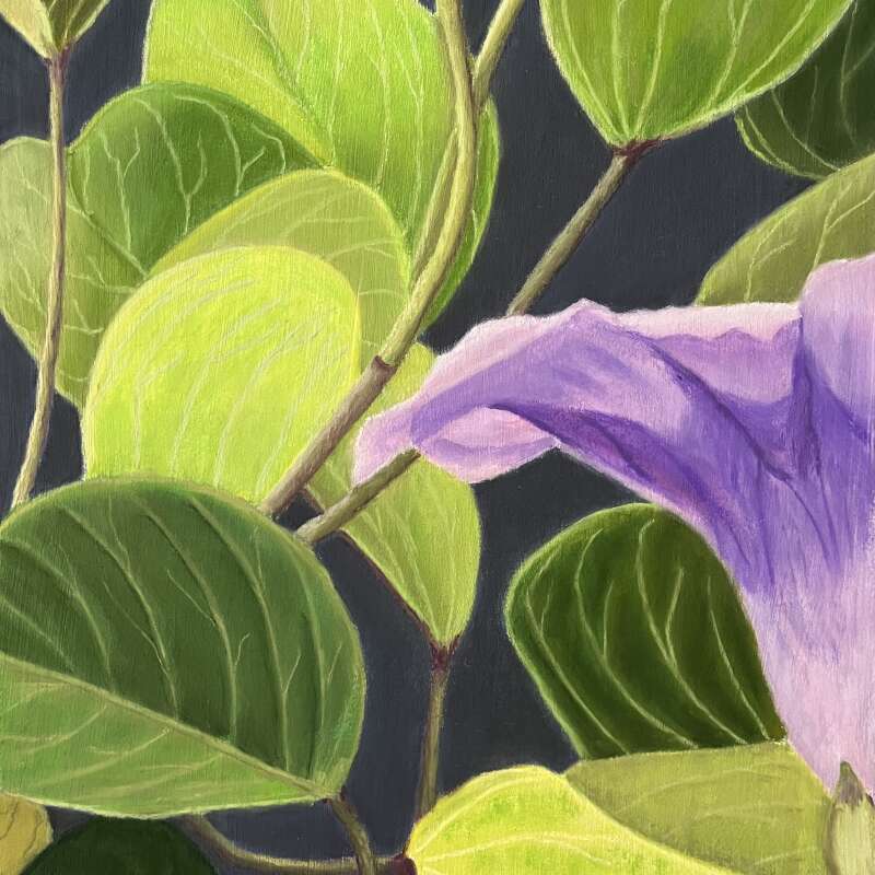 Bloom in Purple