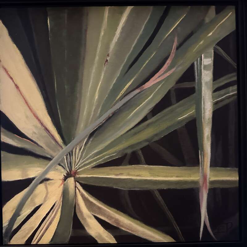 Palm Meadow
