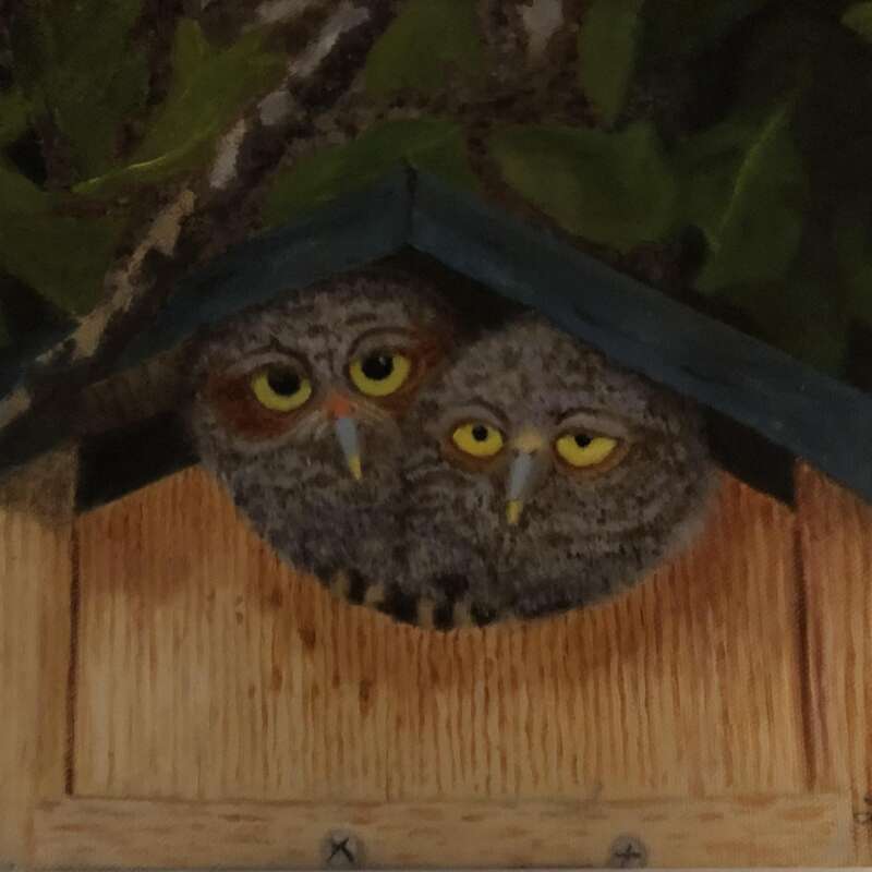 Two Hoots