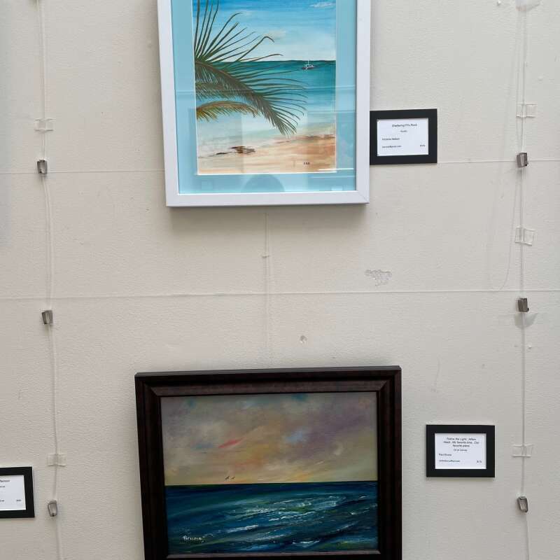 Summer FUN Exhibit - June -Aug 2025