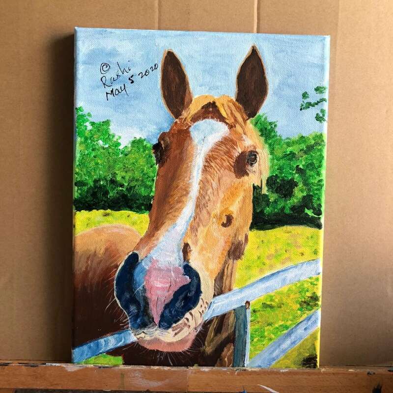 Horse